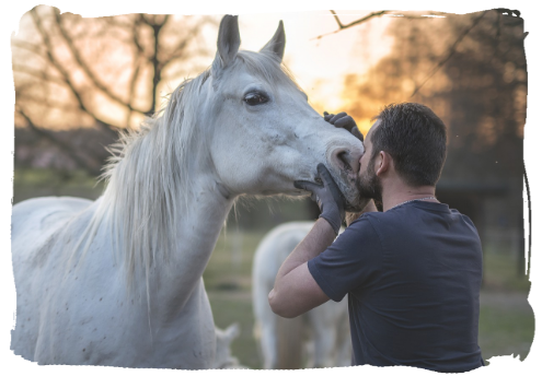 Beruhigendes Bild neben Hippotherapie-Infos